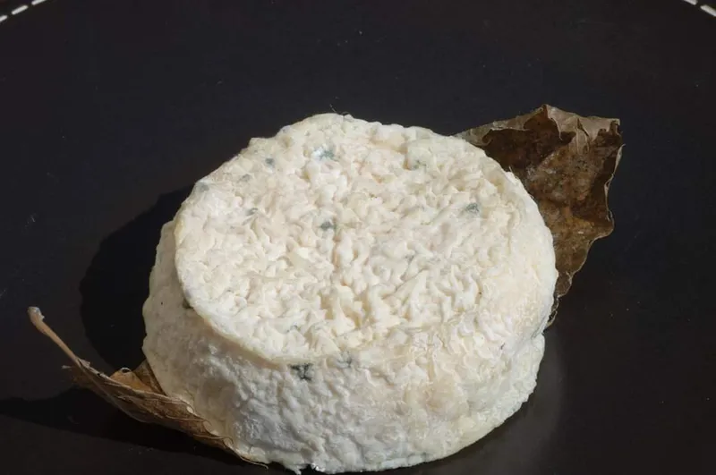 Corosa : Coopérative féminine pour l'élevage des chèvres et la fabrication du fromage_Ouarzazate photo 4