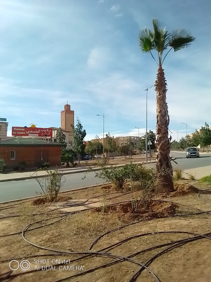 صورة 4 من Pharmacie Wilaya Pharma صيدلية ولاية فارما
