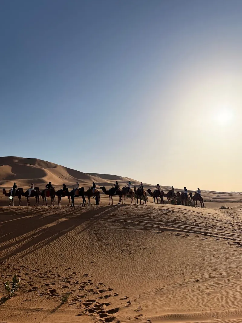 Elencanto de marruecos photo 2