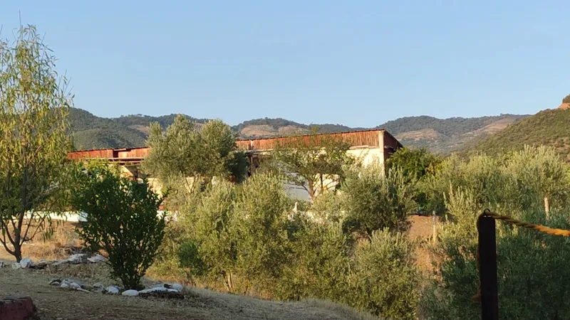 Le Relais De Tahla photo 3
