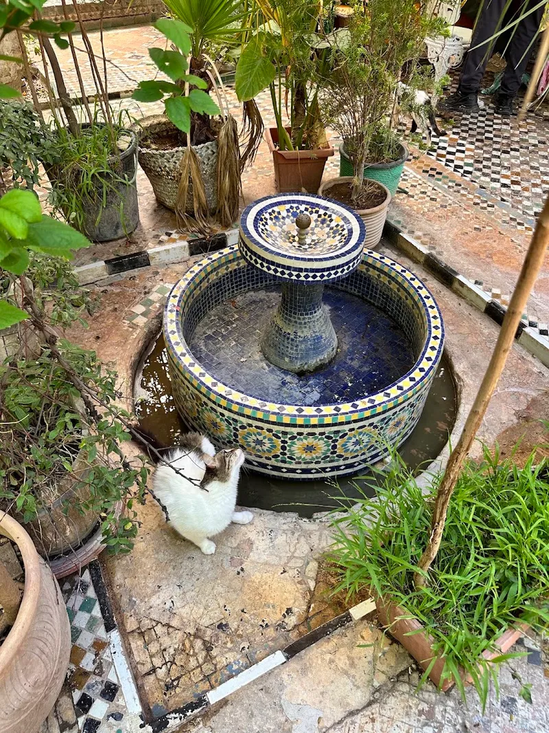 The Ruined Garden photo 2