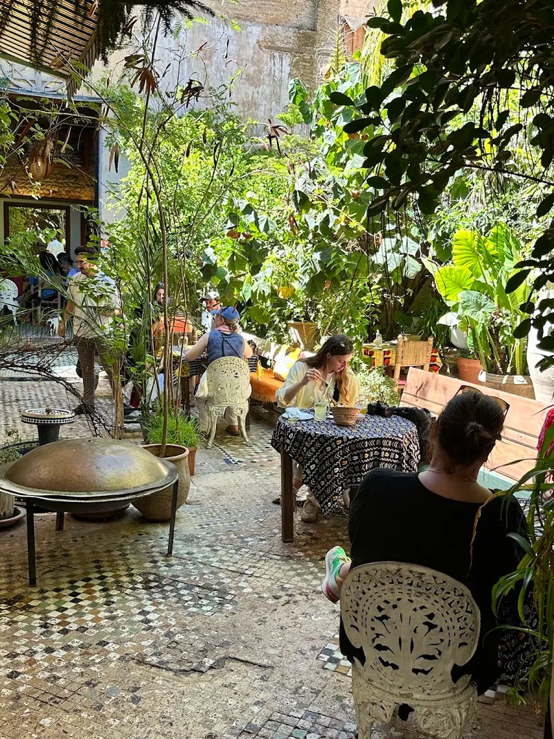 The Ruined Garden photo 1