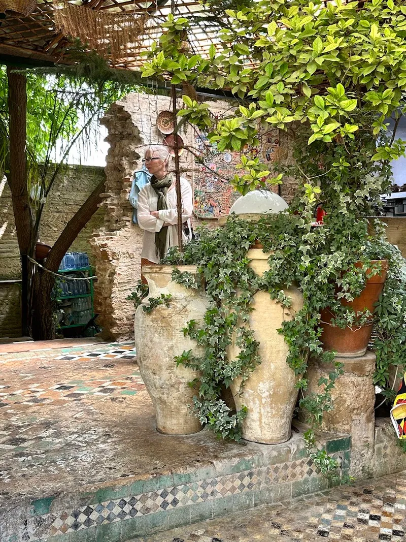 The Ruined Garden photo 3