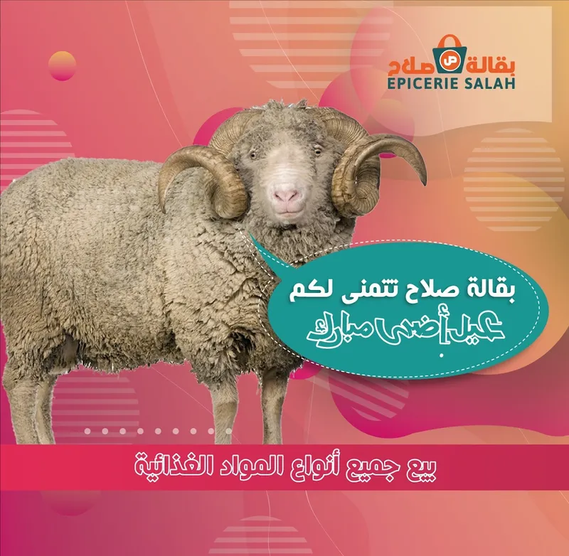 صورة 3 من Épicerie Salah - بقالة صلاح