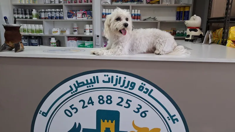 صورة 2 من عيادة ورزازات البيطرية. الدكتور يونس شكدالي