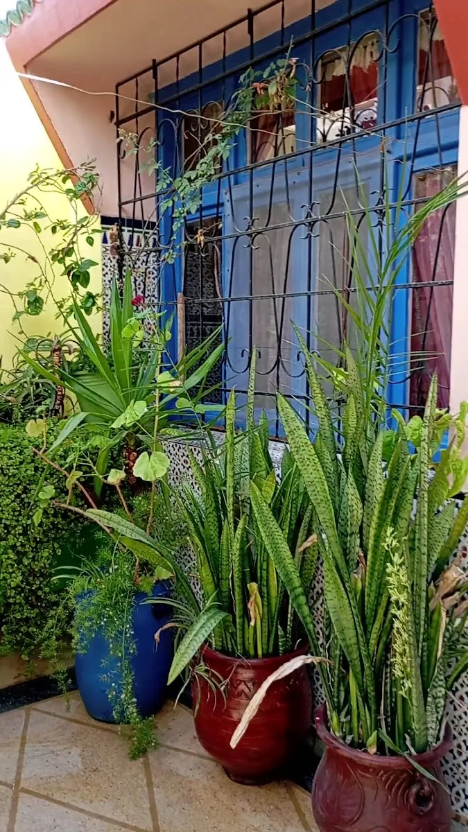 Photo 3 de Riad Nabila,vacancy appartement