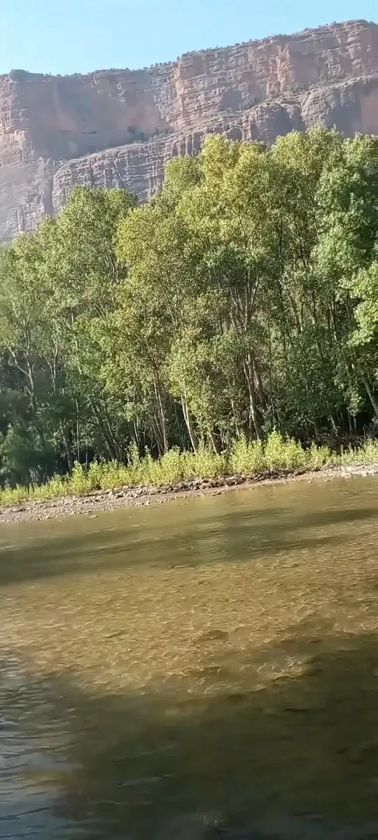 صورة 3 من مجزرة ومشواة أيوب