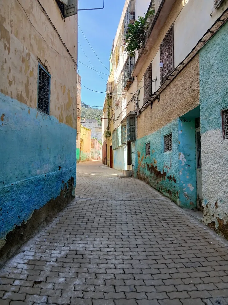 Styloria photo 4