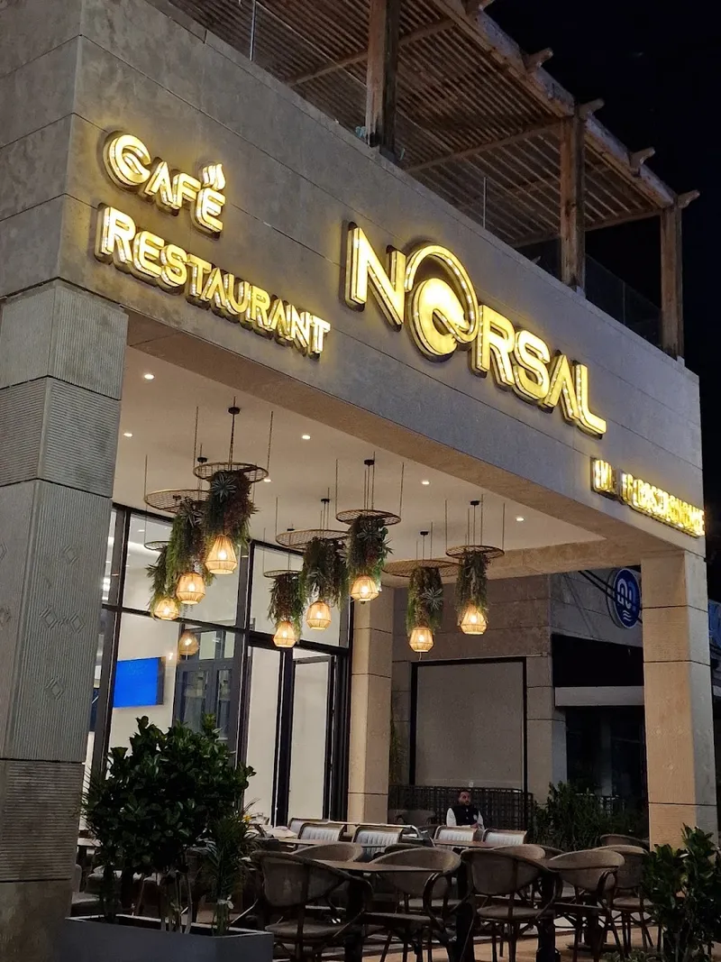 NORSAL photo 1