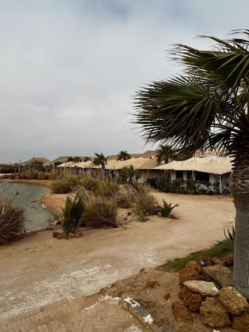 Photo 3 de Les dunes de dakhla