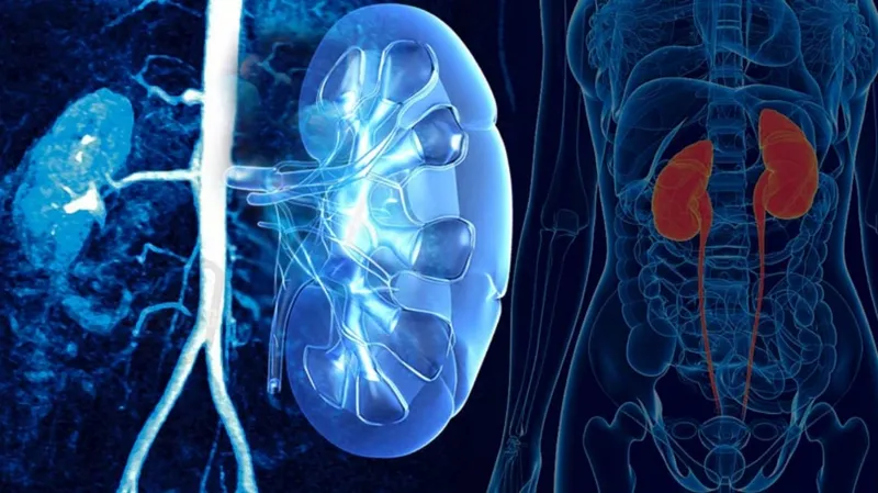 صورة 3 من Cabinet urologie et andrologie dr Graiouid Elmahdi