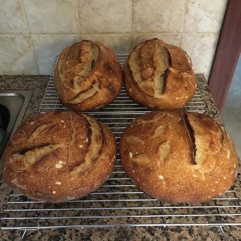 La maison du levain photo 1