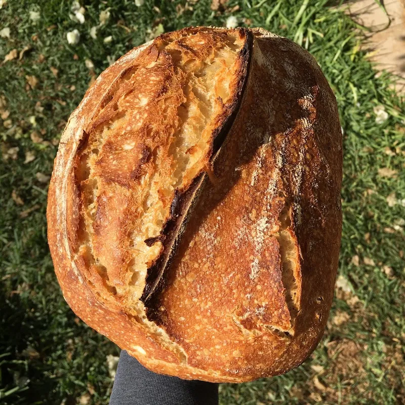 La maison du levain photo 3