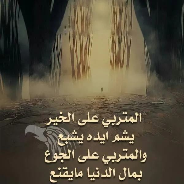 صورة 1 من Docteur OMERA Ghaidaa