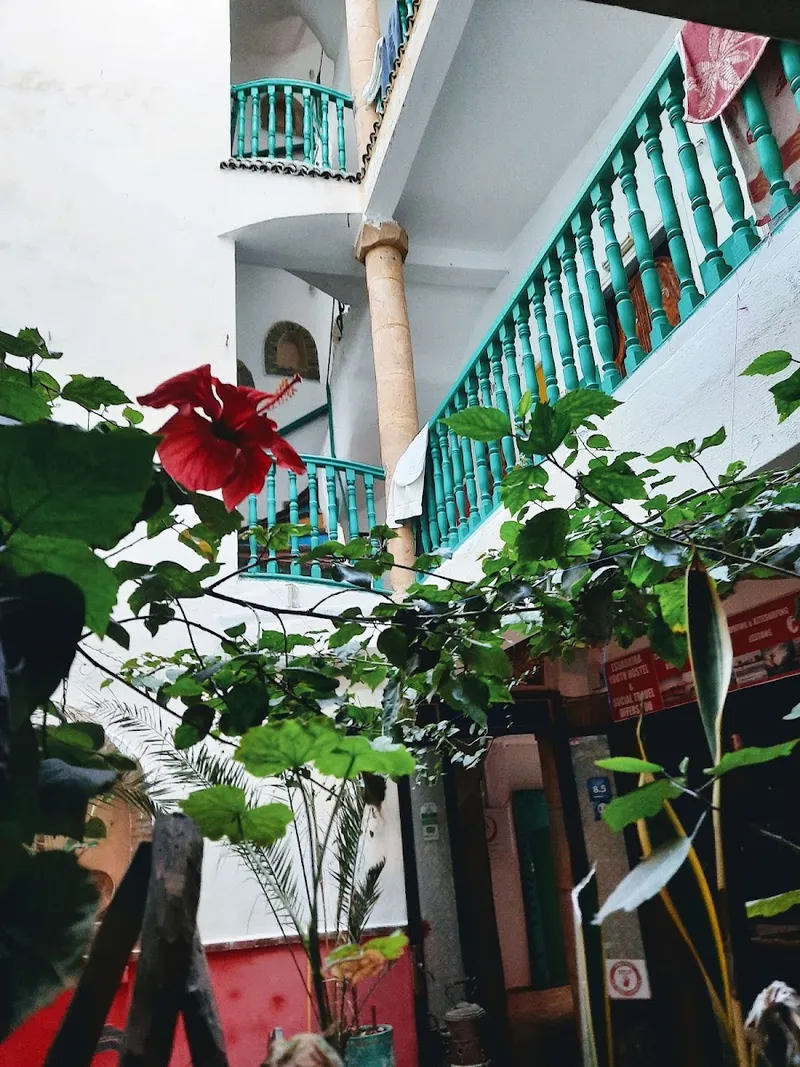 Photo 4 de Essaouira Youth Hostel and Social Travel