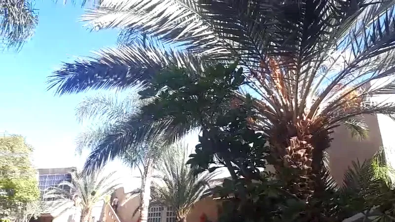 Photo 1 de دار نعيمة