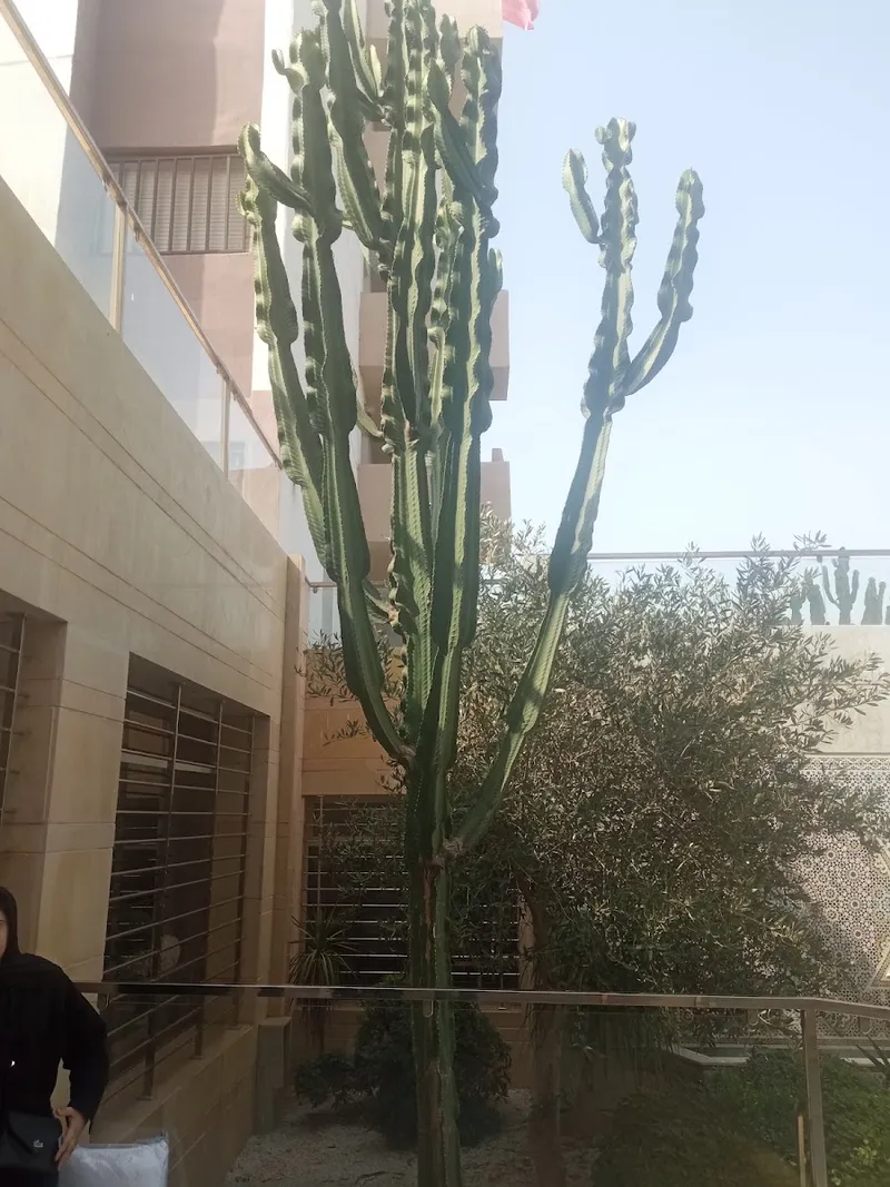 Riad Zina photo 4