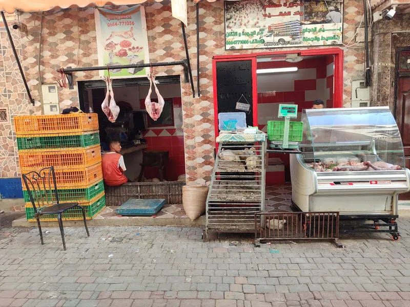 صورة 1 من دجاج هشام