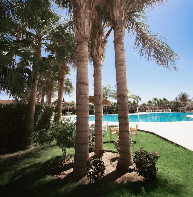 Piscine Complexe Le Tropical photo 1