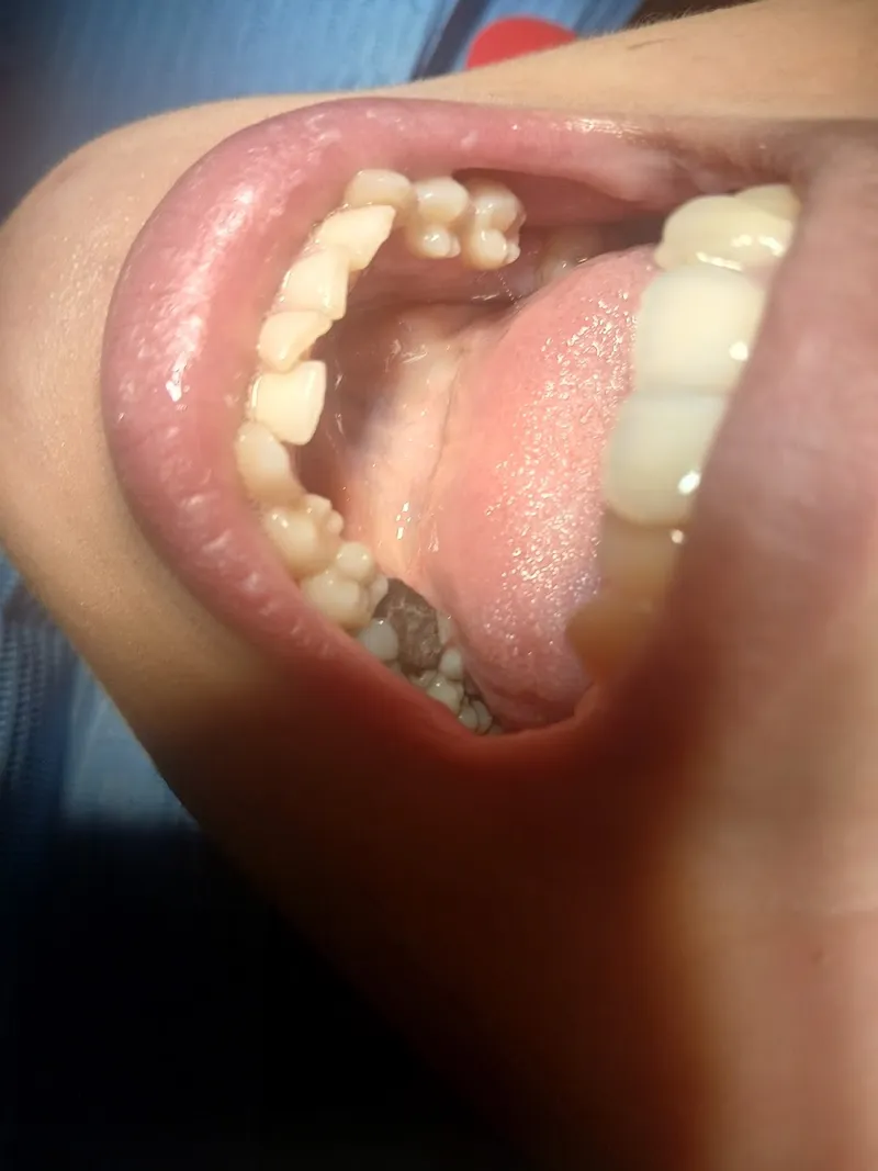 Photo 3 de Dr idil nourdine ( dentist)