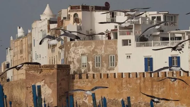 Riad Wave Mogador photo 2