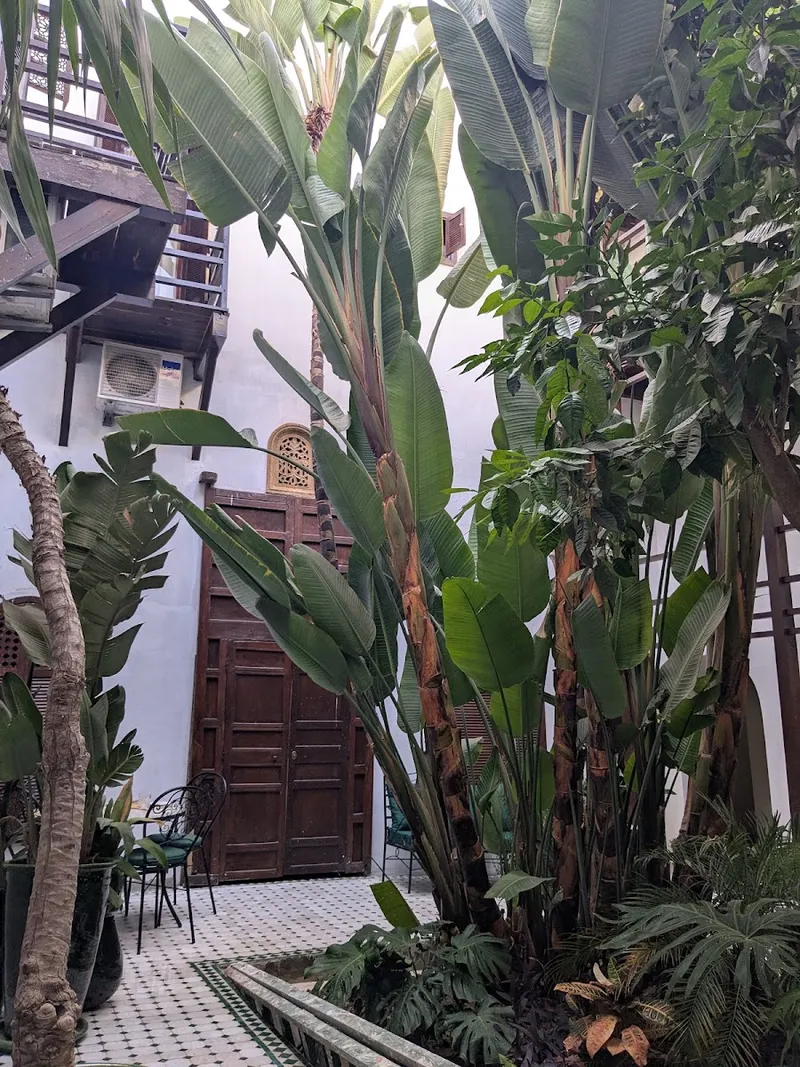 Riad El Maâti photo 3