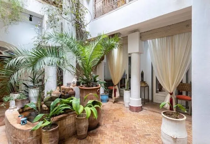 Riad Dar Al Dall - This Time Tomorrow in Marrakech photo 3