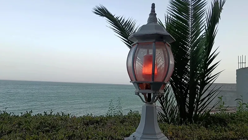صورة 3 من Café Anastazia