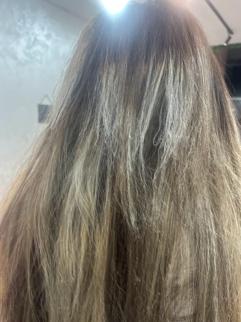 صورة 2 من Salon Barcelle