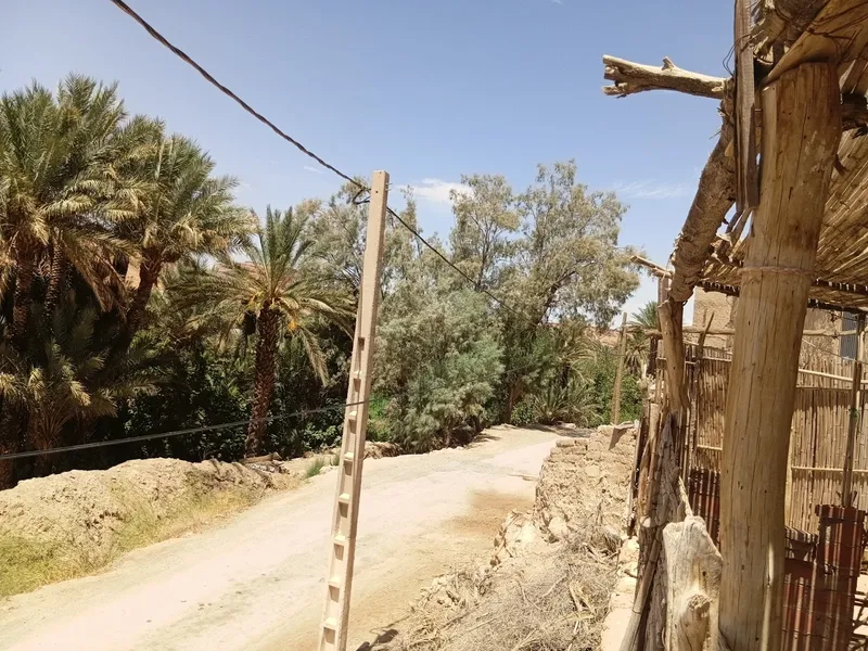 Photo 3 de Maison d'hôtes Sahara