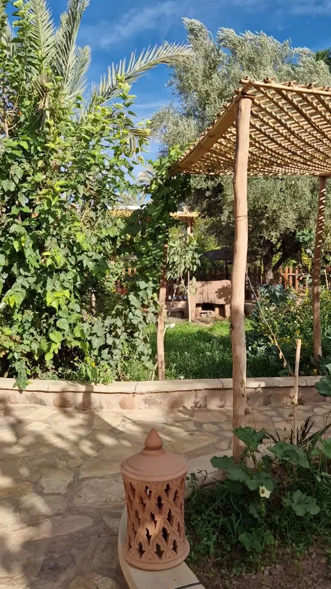 Photo 3 de La Palmeraie – Ecolodge Ouarzazate