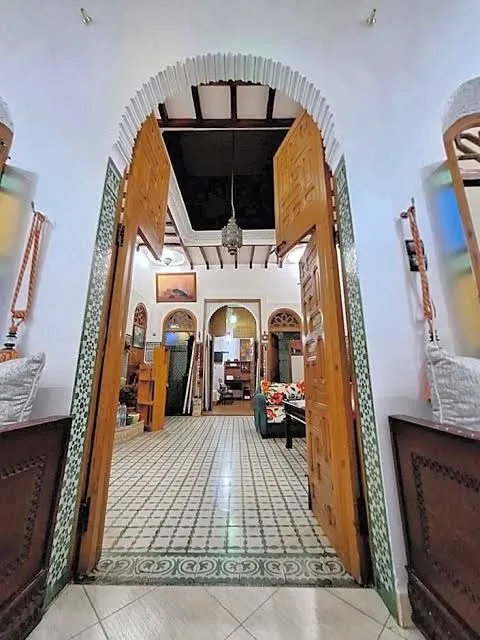 Riad Zyo photo 4