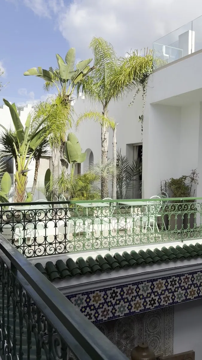 Riad Zyo photo 3