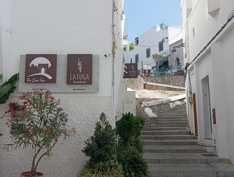 Dar chams Tanja photo 2