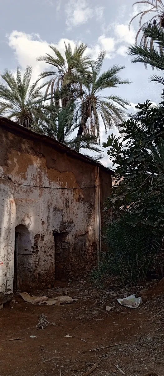Photo 3 de Dar Abaraz Maison d'hôtes