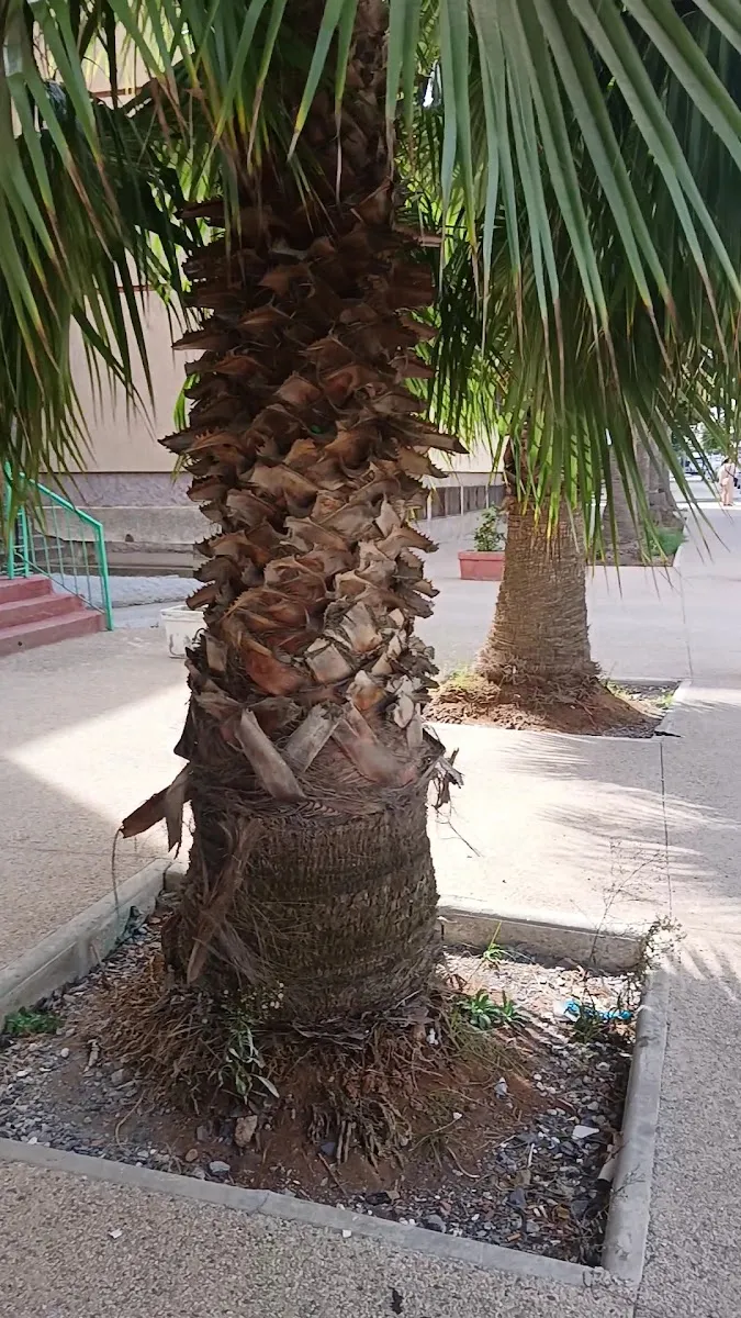 صورة 2 من Pharmacie de Rabat