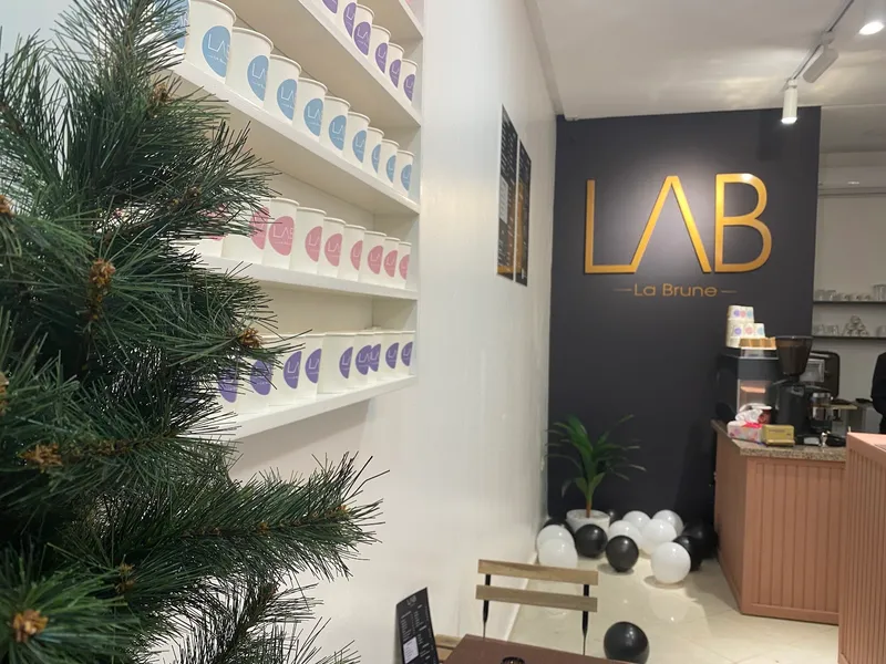 LAB LABRUNE Val Fleury photo 1