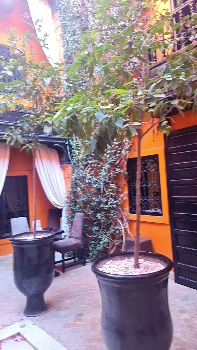 Riad Hermes - Riad Marrakech photo 3