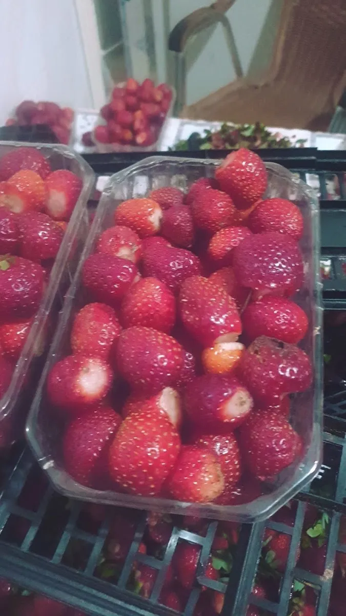صورة 2 من Amelkis Délices