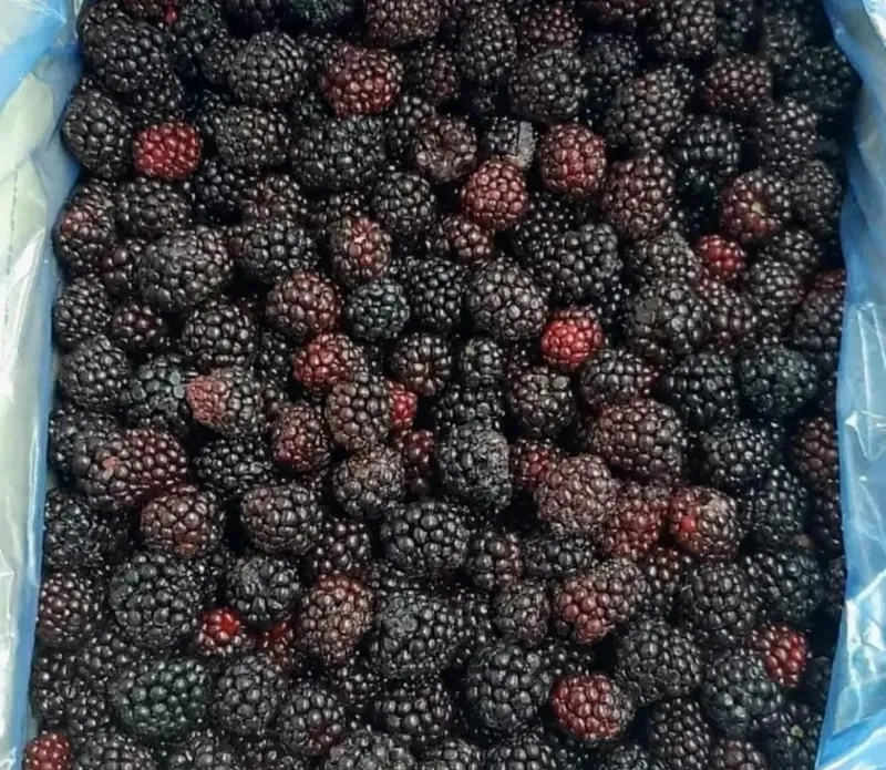 صورة 1 من Amelkis Délices