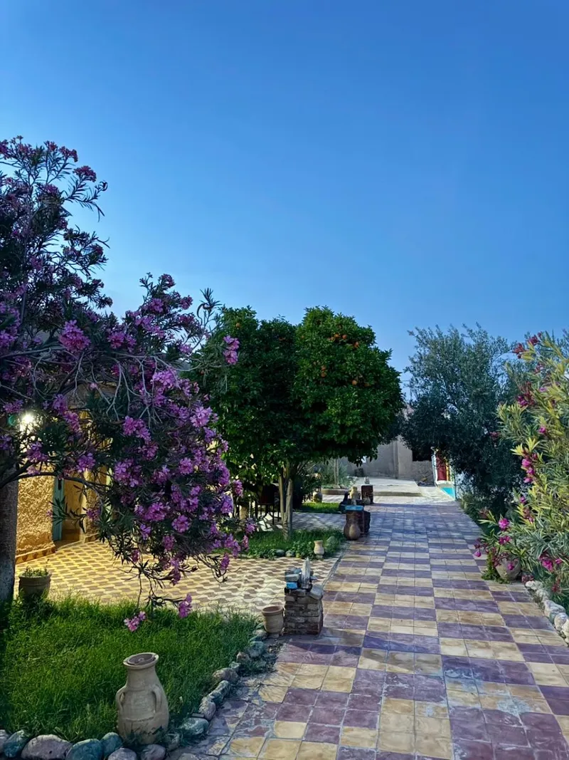 Gite d étape Khettara Oasis photo 1