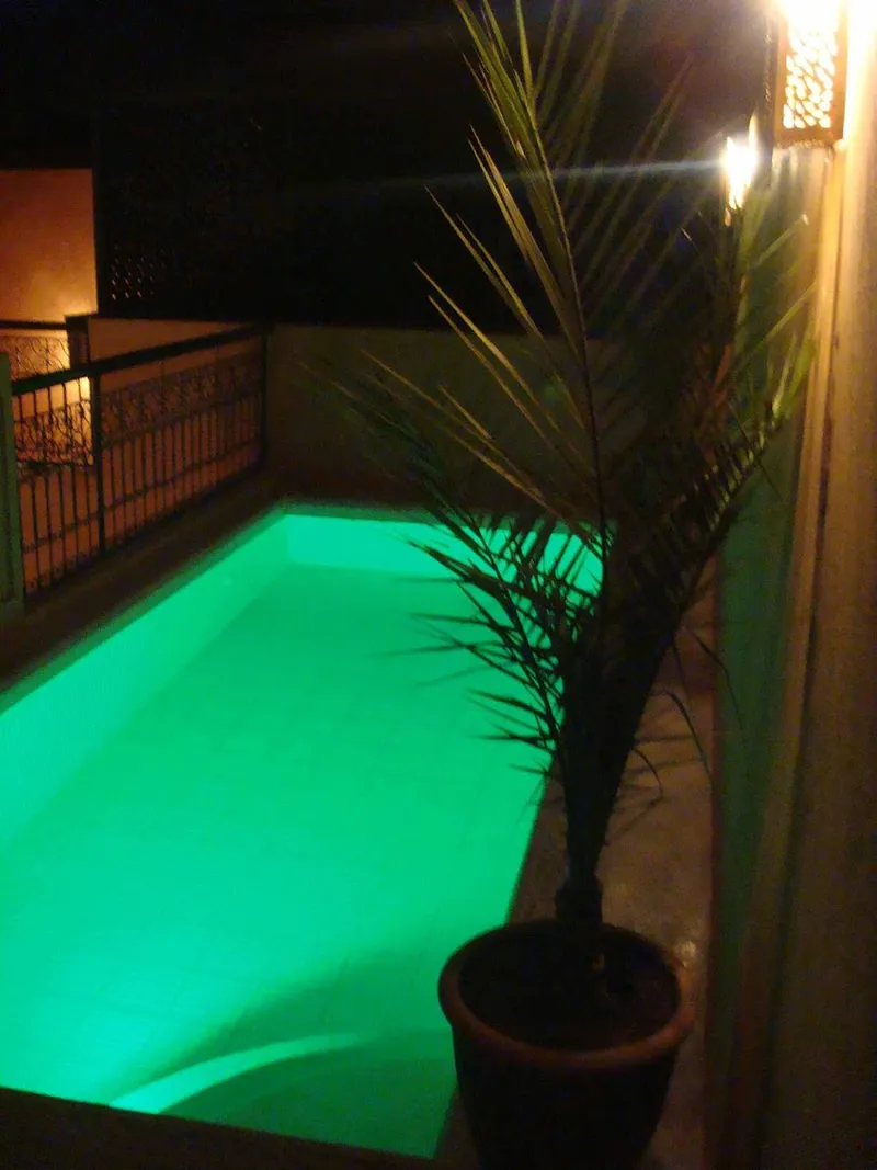 Riad l'Orangeraie photo 3