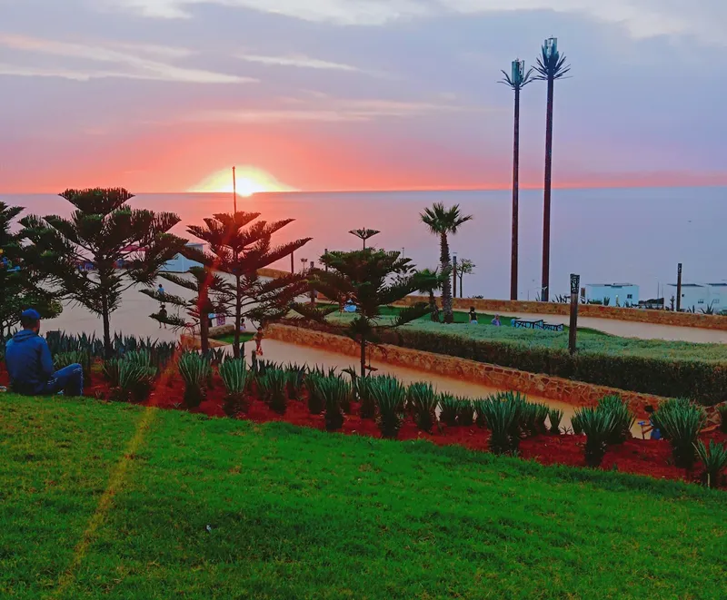 Mirador Garden photo 2