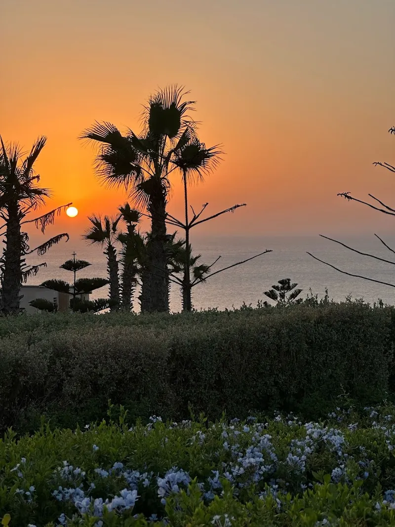 Mirador Garden photo 1