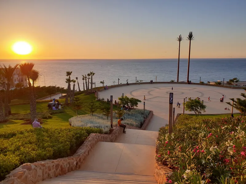 Mirador Garden photo 4