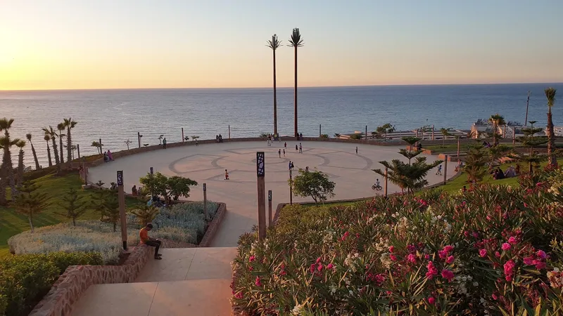 Mirador Garden photo 3