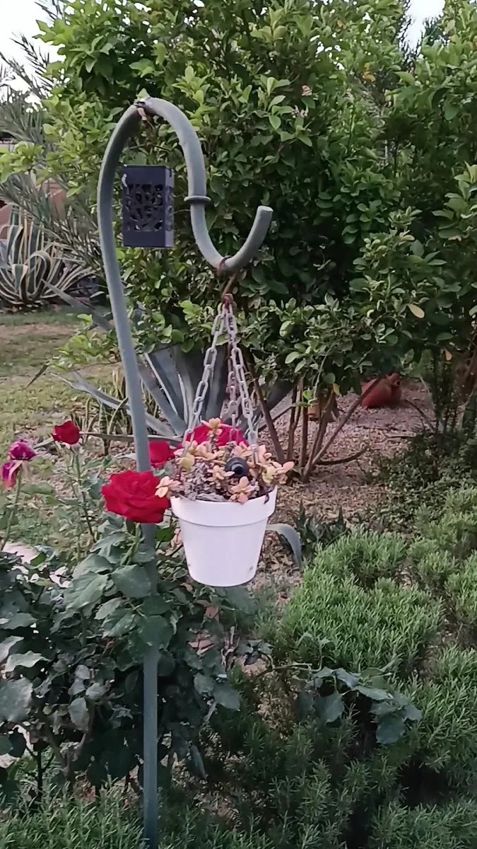 صورة 4 من Le Jardin de Épices