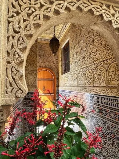Riad Safia photo 4