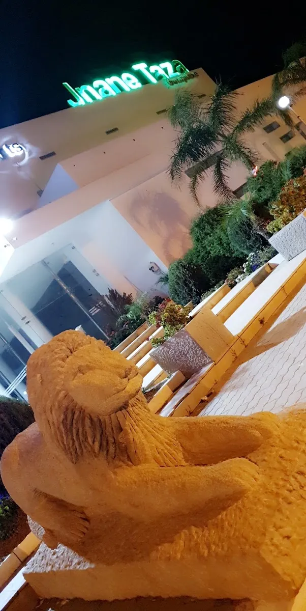 صورة 4 من Jnane Taza, Restaurant & Swimmingpool