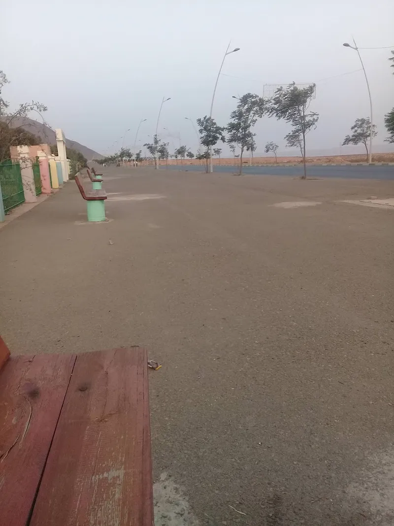 Porte du sahara photo 2